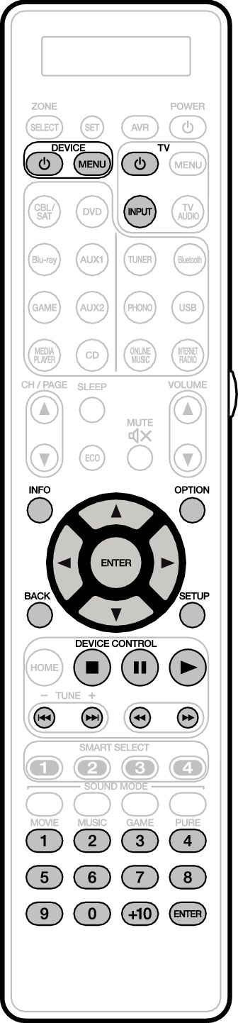 RC DVD RC031SR